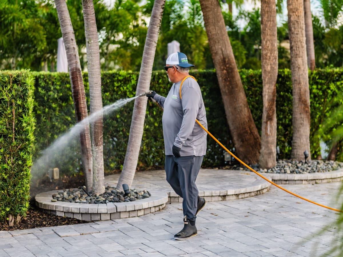 Technician treating palms at a paver patio with dappled shade