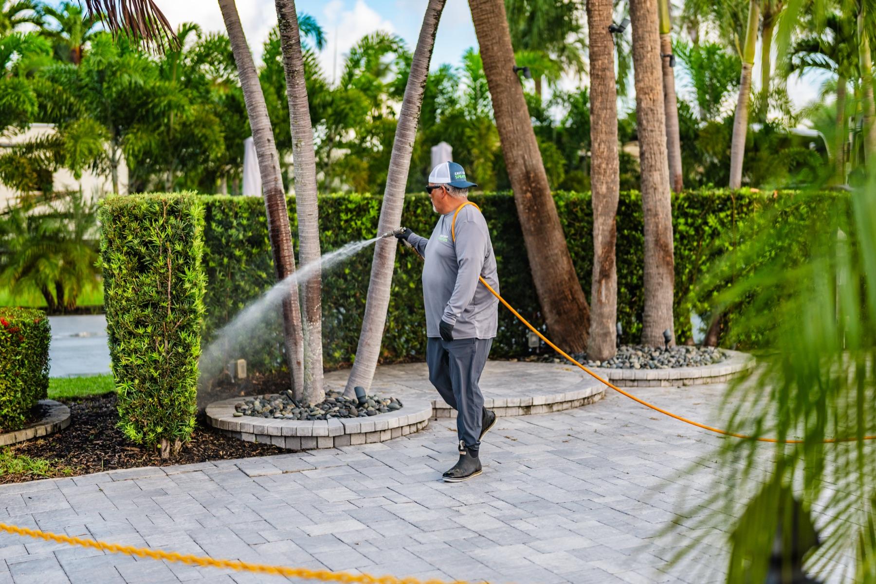 Tree and shrub spray treatment in a Florida landscape with palm trees